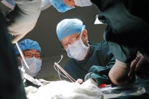 A Great Doctor, Wu Mengchao