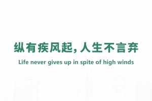 縱有疾風(fēng)起，人生不言棄