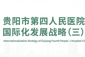 貴陽市第四人民醫(yī)院際化發(fā)展戰(zhàn)略（三）