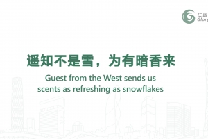 遙知不是雪，為有暗香來