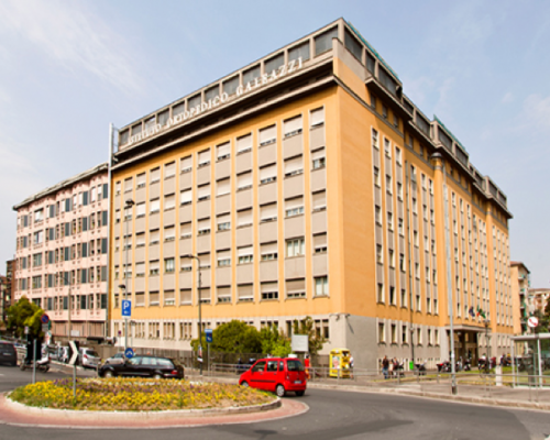 IRCCS Galeazzi 骨科醫(yī)院